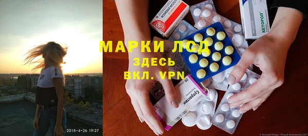 ГАЛЛЮЦИНОГЕННЫЕ ГРИБЫ Балабаново
