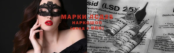 ГАЛЛЮЦИНОГЕННЫЕ ГРИБЫ Балабаново