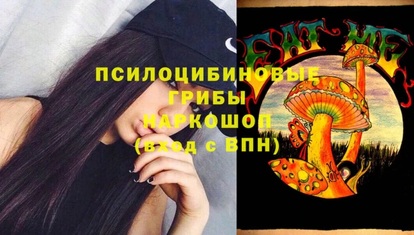 тгк Балахна