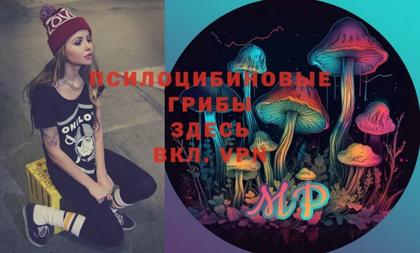 ГАЛЛЮЦИНОГЕННЫЕ ГРИБЫ Балабаново
