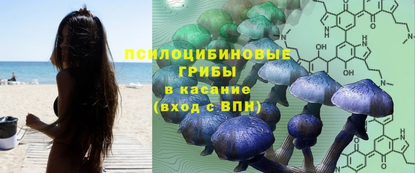 амф Сафоново