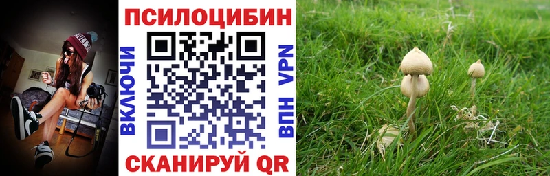 ОМГ ОМГ ТОР  Светогорск  Галлюциногенные грибы Magic Shrooms  как найти  